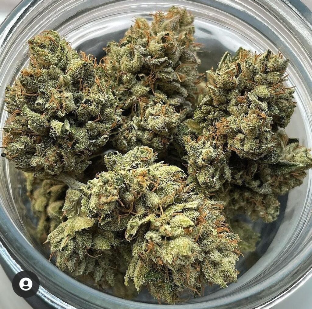 Jar of cured Headband cannabis buds with frosty trichomes and vibrant orange hairs.