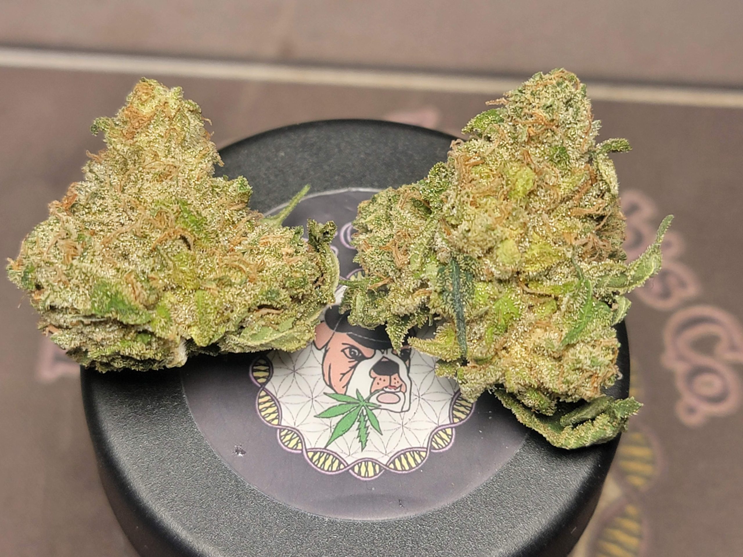 88G13 Chem cannabis buds showing dense structure, trichome coverage, and natural coloration on branded surface