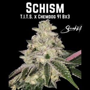 Lucky Dog Seed Co Schism strain graphic and logo, displaying the genetics (T.I.T.S. x Chemdog 91 Bx3).