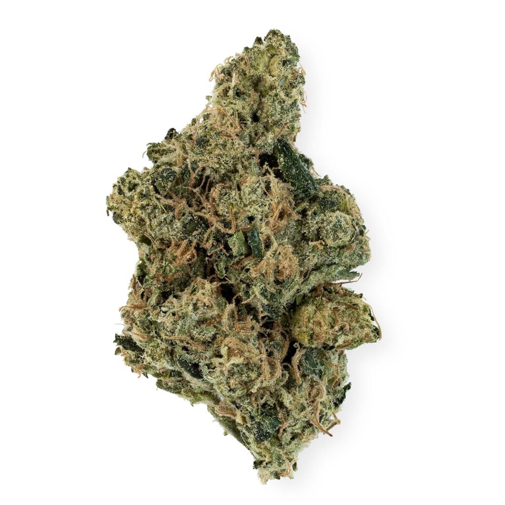 Isolated professional cutout of a dense, frosted green Diesel Therapy cannabis bud on a white background, showcasing the East Coast Sour Diesel x Chemdog 91 Bx3 lineage by Lucky Dog Seed Co.