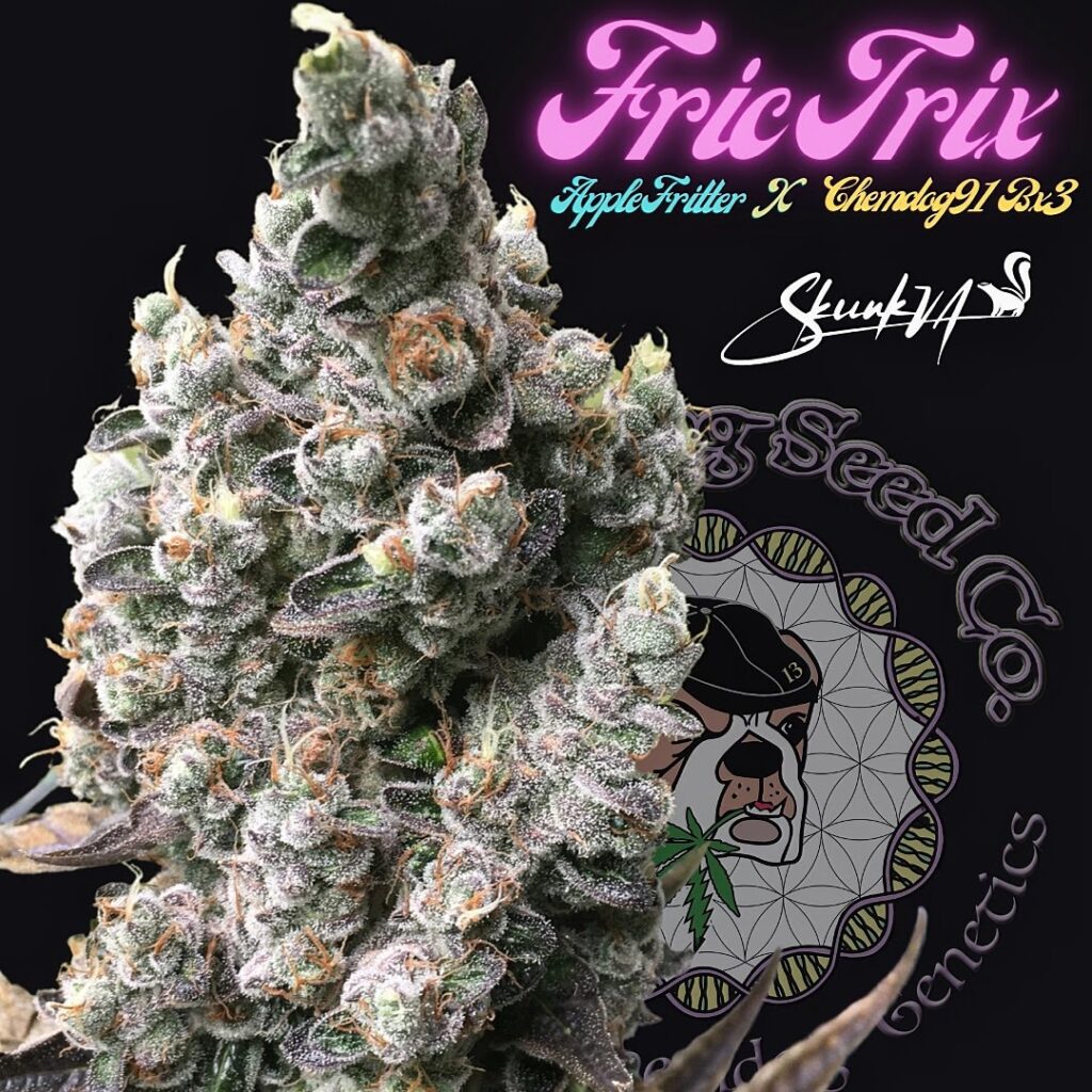 Frictrix strain cannabis cola graphic featuring Lucky Dog Seed Co branding and Skunk VA genetics.