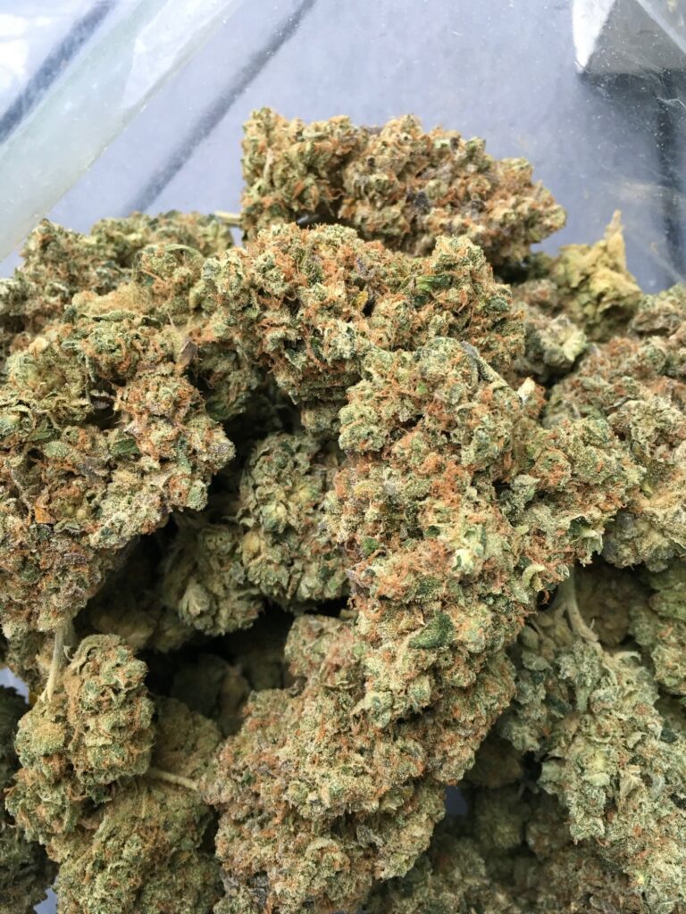 Pile of cured Mazard cannabis nugs with orange pistils