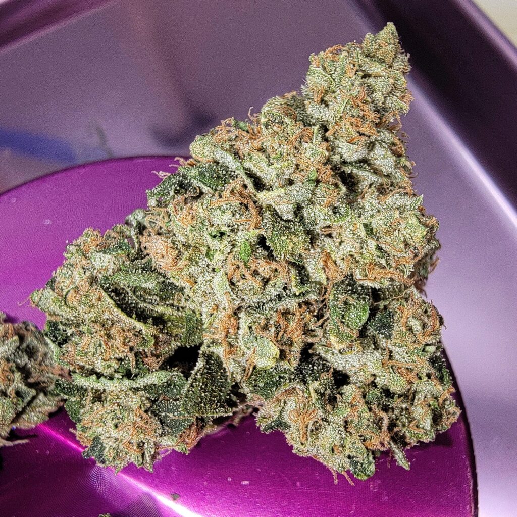 Cured East Coast Sour Diesel bud, elongated and foxtailed with dense orange pistils and greasy resin