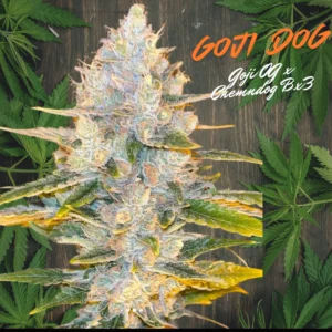Goji Dog strain promo graphic showing a frosty purple cola with Goji OG x Chemdog Bx3 lettering