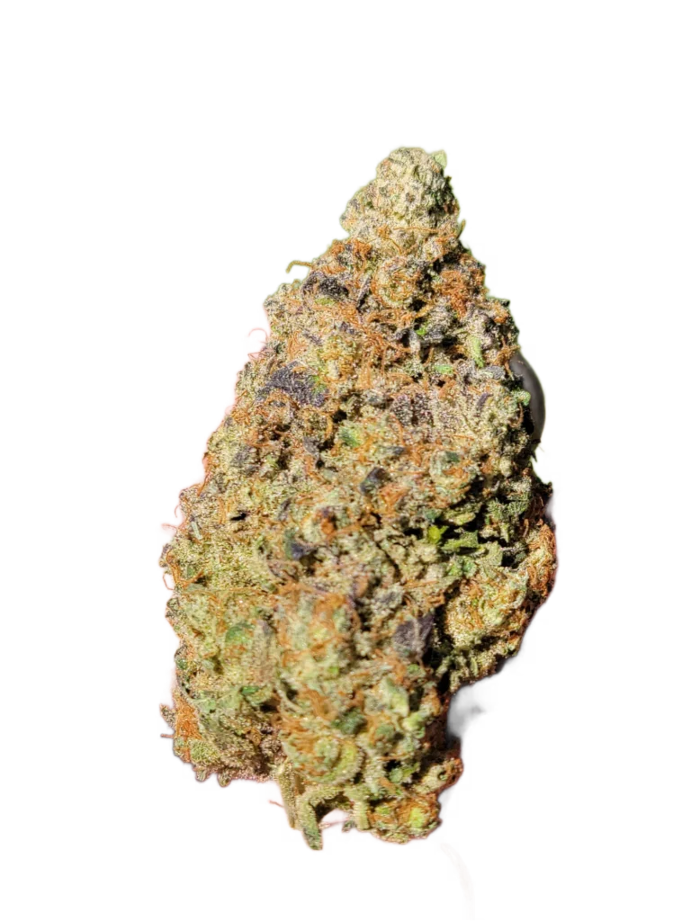 Cured Grand Master Chem cannabis nug cutout (Master Kush x Chemdog 91 Bx3) on white background
