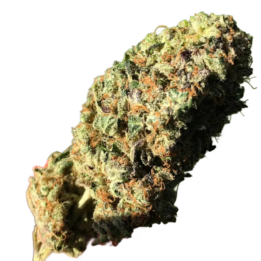Macro cutout of Grand Master Chem cannabis flower with orange pistils and heavy trichomes