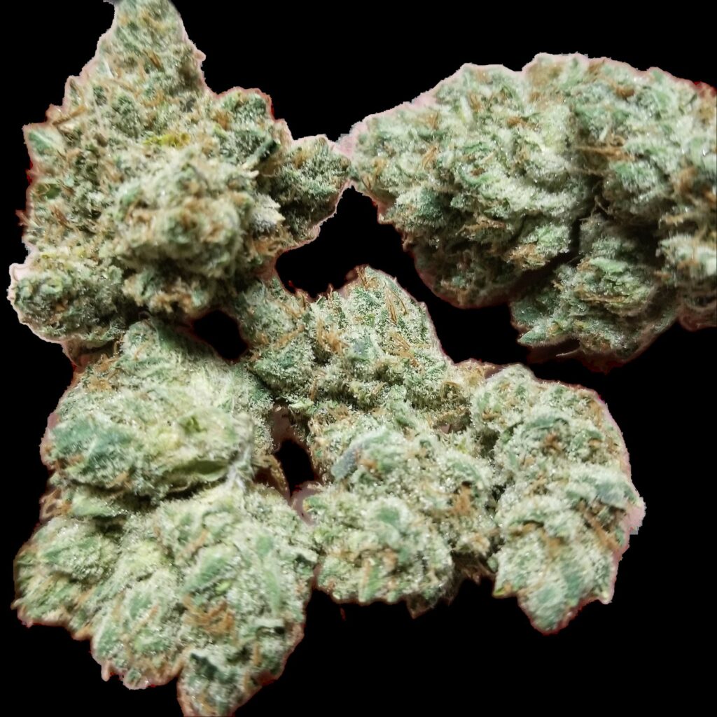 Chem Fuego buds on a black background, dense and frosty.