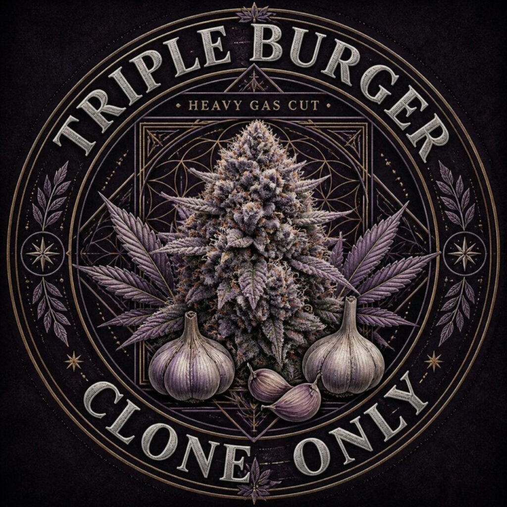 Triple Burger clone only emblem with a frosty cola and garlic bulbs, Lucky Dog Seed Co