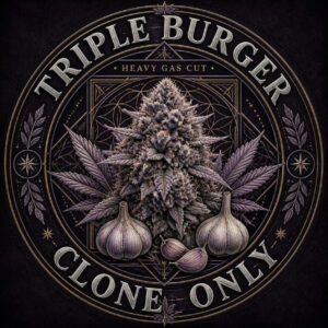 Triple Burger clone only emblem with a frosty cola and garlic bulbs, Lucky Dog Seed Co